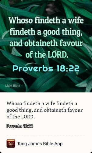 FB_IMG_1669506368590