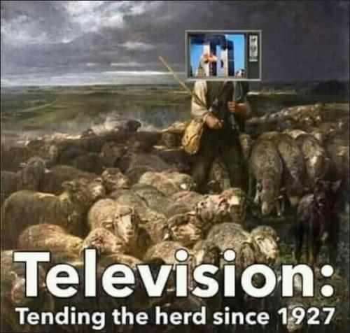 sheeple64