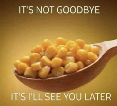 image_F28FCF90-30E9-43EE-A832-5BFC4C066FA5