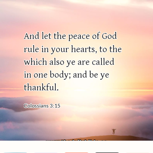 dailybible_20221127-201535_Colossians_3-15