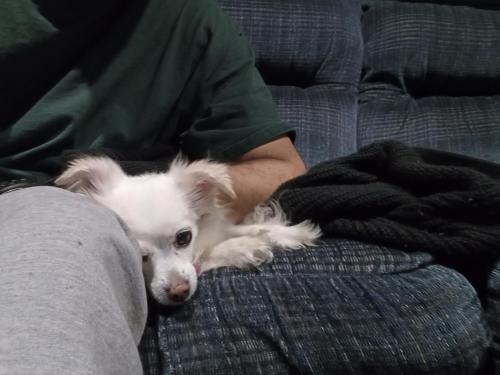 IMG_20221106_191808_246