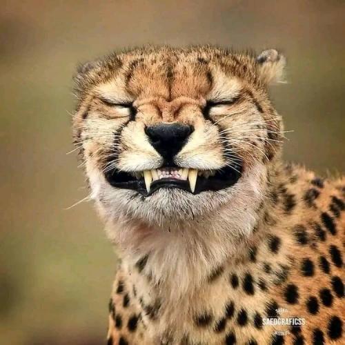 316219000_1478230255995637_4273843757932078547_n