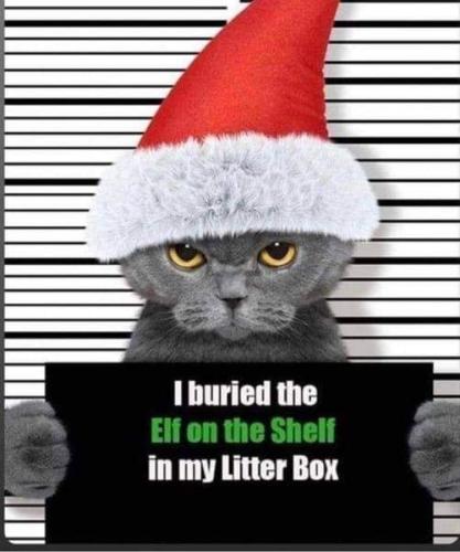 316013378_699687208446033_5718316172582780274_n