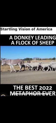 4294B98E-B67B-4A24-9470-AAA75C06800A