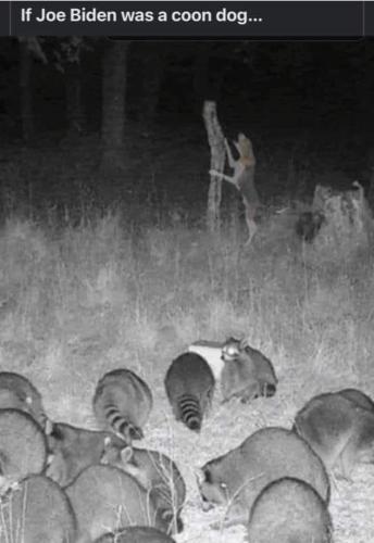 FB_IMG_1667349505249