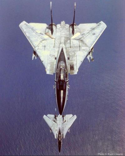 313419915_443915984553309_6506708874236250907_n