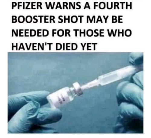 FB_IMG_1667289968241