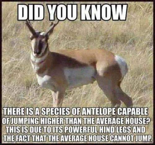 FB_IMG_1667325907034