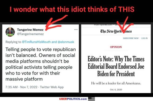 wonder-what-this-idiot-thinks