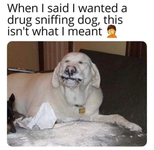 FB_IMG_1669841384353