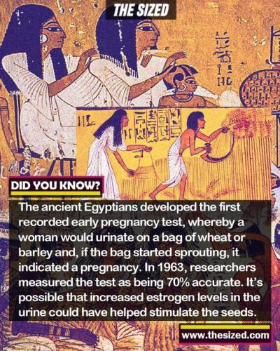 314337386_653492639550390_1885758735234125689_n