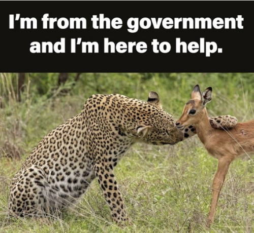 captures_chrome-capture-2022-10-1 (2)