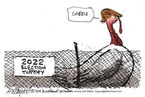 payn_c19437420221115094549-800x0