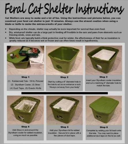 315858489_505793284928691_7211492101336394847_n