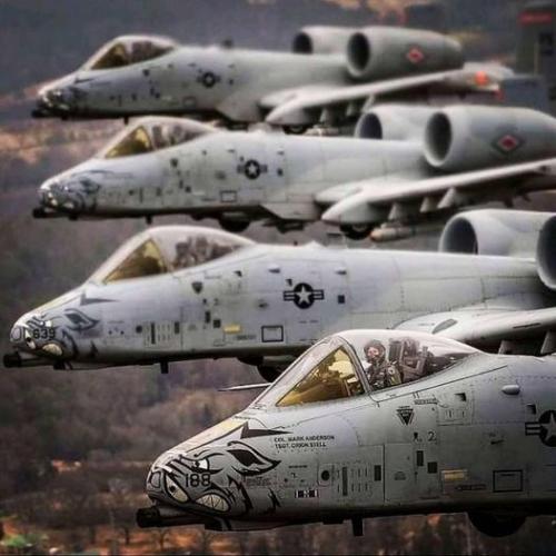 315608071_158010436934597_1251786451228196968_n