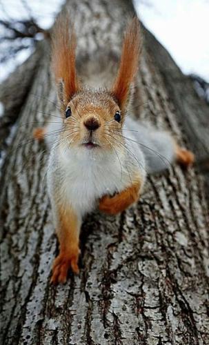 tumblr_fcaa96bc726f085e71a1a718913a7d72_f51b8165_640