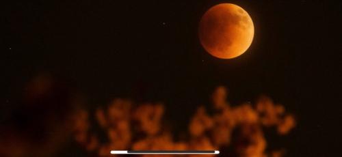 B328CB35-1A4C-4B43-A779-2593E1465B86