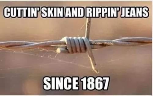 316521932_508009871367436_3721730819562156652_n