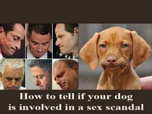 FB_IMG_1668108997522