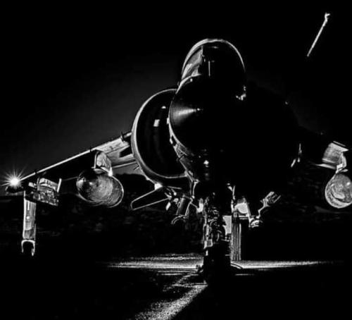 302728986_203170302067012_2273792896144486651_n