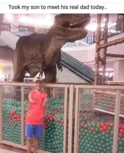 FB_IMG_1667484092387