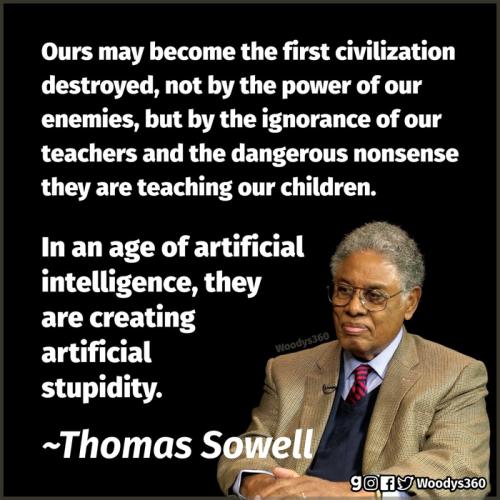 Stupidity is a Luxury AI