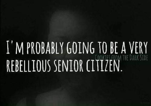 FB_IMG_1667500249941