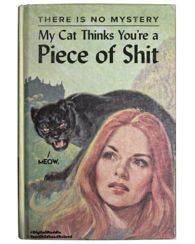 314907666_492306916257999_6392716702467946137_n