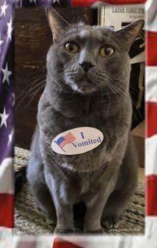 19:51:24 GMT-0600 (CST)