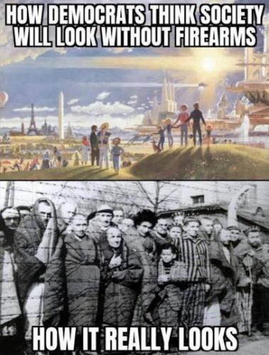 how gun control works01