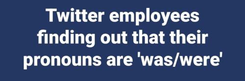 twitter pronouns 810px