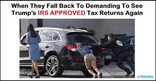 trumps_tax_return_grasp