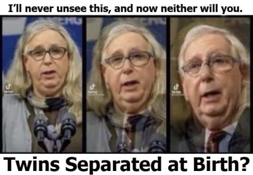 twins separated at birth