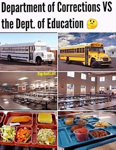 FB_IMG_1668130167650