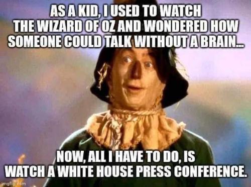 FB_IMG_1668148496075