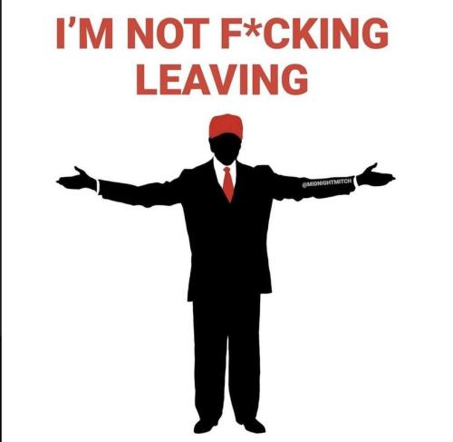 Trump 8