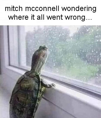 mcconnel25