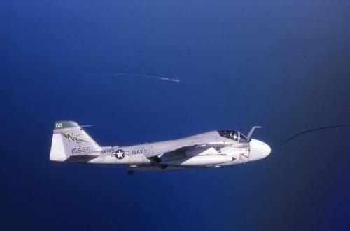 FB_IMG_1664303798377