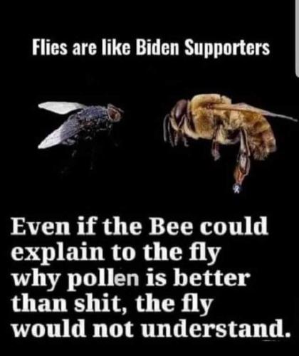 FB_IMG_1667404208418