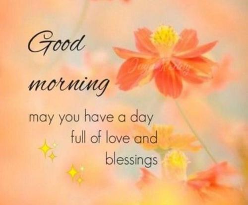 Screenshot_20221102_085608_Pinterest