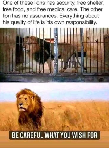 FB_IMG_1667378158135