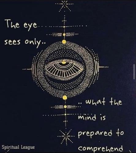 Screenshot_2022-11-11-03-35-07-01_1c337646f29875672b5a61192b9010f9