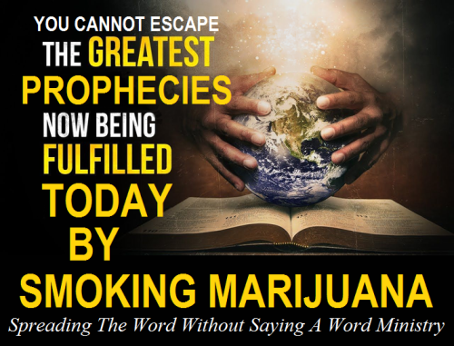 313115625_1499007963860716_2075368460435175166_n