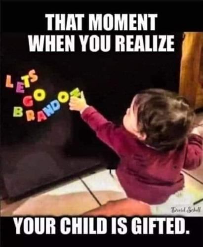 FB_IMG_1669517574267