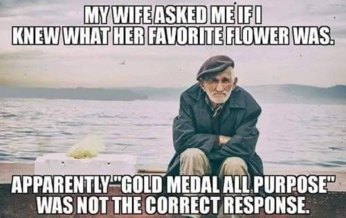 313428865_530159265788211_2654874376705556279_n