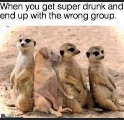 FB_IMG_1668798486974