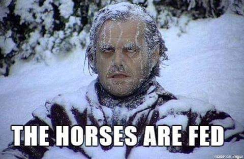 316020588_506367754864981_4107512932285128238_n