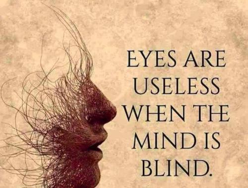 Screenshot_20221106_064316_MeWe