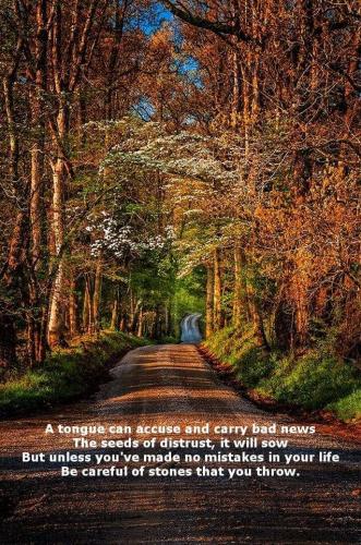 FB_IMG_1668430966652