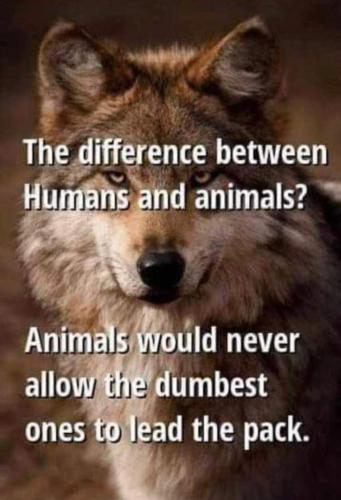 FB_IMG_1667500232356